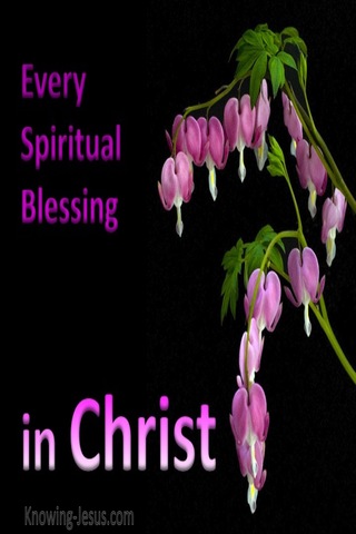 Ephesians 1:3 Every Spiritual Blessing (devotional)12:07 (pink)